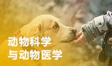 湖北自考動物醫學專業